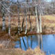 The Baxter baptism tank, located a half-mile west of Baxter on the old Wiley Thompkins place. The tank dates to 1920 and is still used to water cattle today.